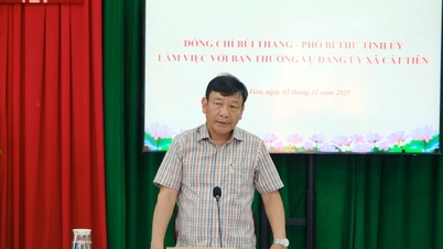 بویی تانگ، معاون دبیر کمیته حزب استان لام دونگ، با کمون کات تین همکاری می‌کند.