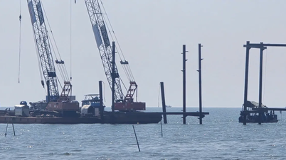 Швидко усунути відключення електроенергії в спеціальній економічній зоні Фукуока