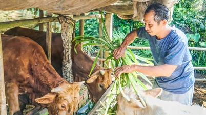 Mencipta mata pencarian untuk membantu rakyat Khmer bangkit