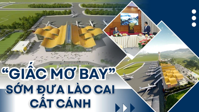 "اڑنے والا خواب" جلد ہی لاؤ کائی کو اتار دے گا۔