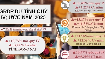 Донгнай совершает мощный прорыв: ВВП в 2025 году превышает целевой показатель