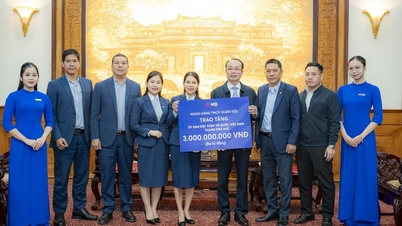 Военно-коммерческий акционерный банк выделил 3 миллиарда донгов городу Хюэ на преодоление последствий стихийных бедствий