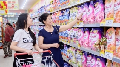 Egy „fogyasztói bluechip” hamarosan megjelenik a HoSE-n: Mit hoz az MCH a piacra?