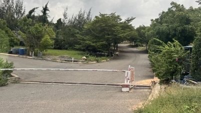 Лам Донг: Проект поля для гольфа Hon Rom не заплатил налоги