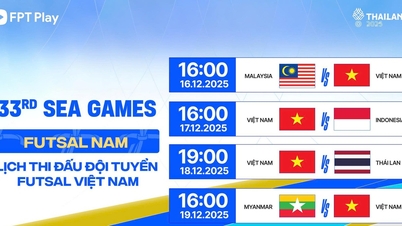 Lịch thi đấu đội tuyển futsal Việt Nam mới nhất: Gặp Thái Lan, Indonesia, xem kênh nào?