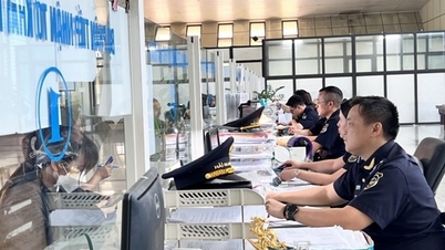 Многие региональные таможенные подразделения превышают доходы бюджета