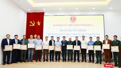 Konferensi Komite Eksekutif Asosiasi Veteran Provinsi ke-8