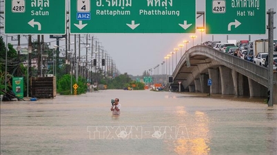 Tayland'daki şiddetli sel felaketi nedeniyle taziyelerimizi iletiyoruz