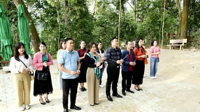 A Associação de Jornalistas das Províncias do Norte, Midlands e Montanhas retorna a Tan Trao.