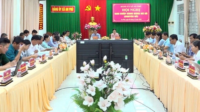 Conferentie van het Uitvoerend Comité van het Partijcomité van de gemeente An Phu