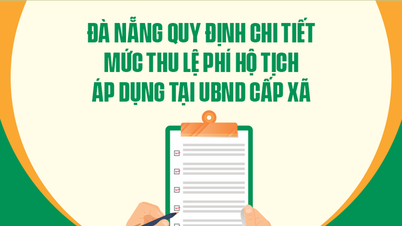 ទីក្រុង Da Nang រៀបរាប់លម្អិតអំពីកម្រិតប្រមូលកម្រៃសេវាអត្រានុកូលដ្ឋានដែលបានអនុវត្តនៅគណៈកម្មាធិការប្រជាជននៅថ្នាក់ឃុំ។