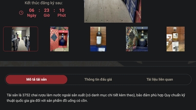 للمرة الأولى، تم بيع كمية كبيرة من النبيذ الأجنبي في مزاد بسعر ابتدائي قدره 3.7 مليار دونج.