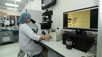 20 ilmuwan berprestasi lainnya lulus dari luar negeri dan bekerja di Universitas Nasional Kota Ho Chi Minh