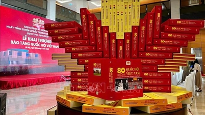 Ra mắt sách ảnh '80 năm Quốc hội Việt Nam (1946-2026)'