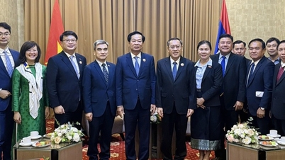 В'єтнам - Лаос зміцнюють співпрацю в галузі праці та заслужених людей