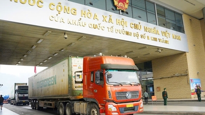 Industri- och handelsministeriet utfärdade ett cirkulär som reglerar importtullkvoter från Laos för perioden 2025–2030.