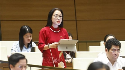 Strong decentralization and a suitable roadmap for English to become a second language