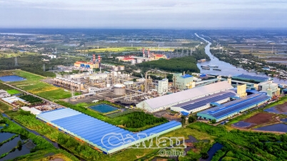 Communication and practical work at Ca Mau Gas - Power - Fertilizer Complex
