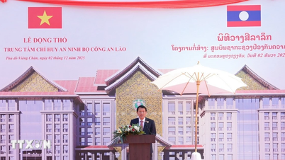 Promoción de una cooperación integral y eficaz entre el Ministerio de Seguridad Pública de Vietnam y Laos