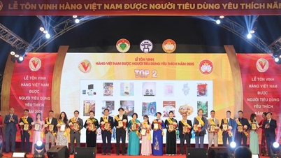 ザ・ワン・インテリア：30年間のブランド構築、「三本足の椅子」の上にしっかりと立つ