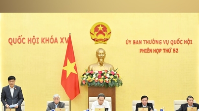 লং থান আন্তর্জাতিক বিমানবন্দর প্রকল্প নির্মাণে বিনিয়োগের দক্ষতা উন্নত করা