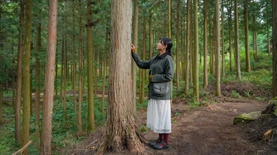 Temukan Jeonbuk - "surga" wisata kesehatan di negeri kimchi