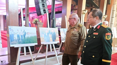 하바나에서 베트남-쿠바 수교 65주년 기념