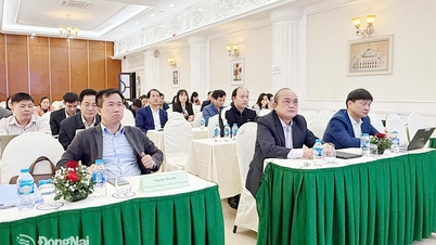 স্থানীয় উদ্ভাবনী সূচক প্রবর্তনের জন্য কর্মশালায় যোগ দিলেন ডং নাই