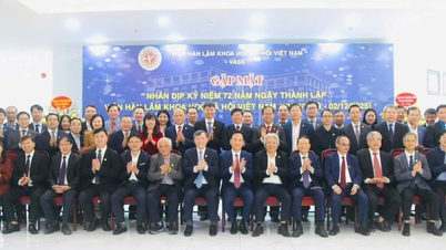 Promoting the pioneering role of social sciences and humanities in national development