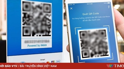 Chinese tourists can scan QR codes to pay in Vietnam