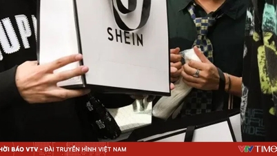 Shein ยังคงพัวพันกับปัญหาทางกฎหมายในสหรัฐฯ