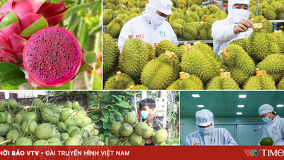 Fruit and vegetable exports set a record of nearly 8 billion USD