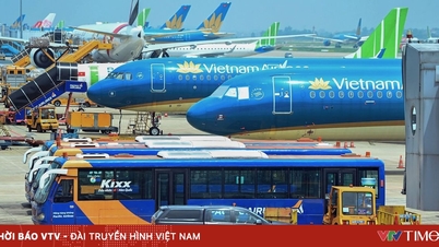 Vietnamese aviation expected to reach 84 million passengers in 2025