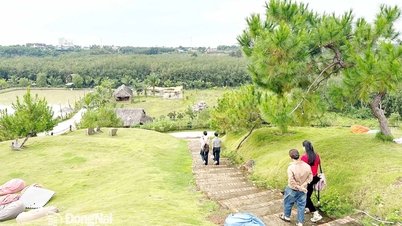 Dong Nai recebe mais de 4,9 milhões de turistas.