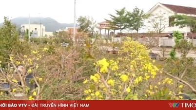 Need preferential capital for reproduction after storms and floods