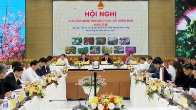 لام ڈونگ صوبائی رہنماؤں کا کسانوں کے ساتھ ترقی پر مکالمہ...