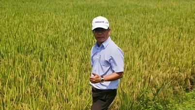 VIBA - ویتنام کا سنہری دانہ - کیوبا دوستی