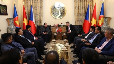 Η Χάι Φονγκ αναζητά ευκαιρίες συνεργασίας και προωθεί αμφίδρομες επενδύσεις με την Τσεχική Δημοκρατία