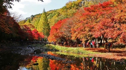 Goldener Herbsttourismus: Ein wirtschaftlicher Hebel für Sunchang, Südkorea
