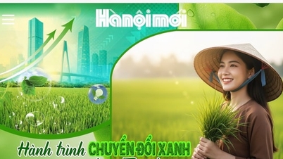 Ceremonia de decernare a Premiilor Naționale de Presă 2025 pe teme de Agricultură, Fermieri și Zone Rurale a avut loc în seara zilei de 5 decembrie.