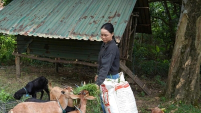 クアンチ省は多次元貧困削減に変化をもたらす