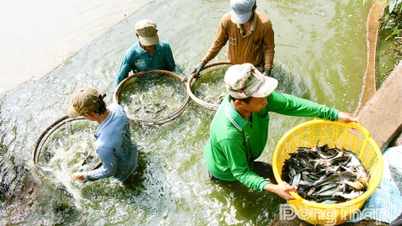 Su ürünlerinin etkin bir şekilde yetiştirilmesi ve değerlendirilmesi için neler yapılabilir?