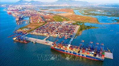 Opportunities to connect the supply chain between Vietnam and the Northwest region of Italy