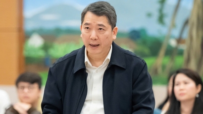 90% នៃគ្រួសារអាជីវកម្ម 'គេចចេញ' បង់ពន្ធនៅពេលដែលកម្រិតពន្ធត្រូវបានដំឡើងដល់ 500 លានដុង