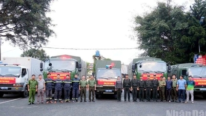 لام ڈونگ صوبائی پولیس نے درجنوں ٹن سبز سبزیوں کی مدد کی...