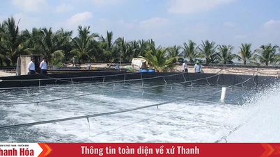 جاذبية "حديقة جميلة ومزرعة فعالة"