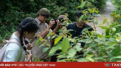 Nearly 54% of Gen Z plan to travel more in 2026