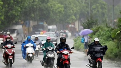 برد في الشمال وأمطار غزيرة في المنطقة الوسطى