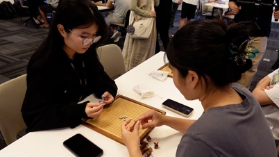 বিশ্ববিদ্যালয় ভর্তি ২০২৬: ভিয়েতনামের আন্তর্জাতিক স্কুলগুলির প্রবেশের প্রয়োজনীয়তা