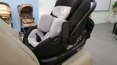 자동차로 어린이를 운송하는 것에 대한 새로운 규정에서 주의할 사항